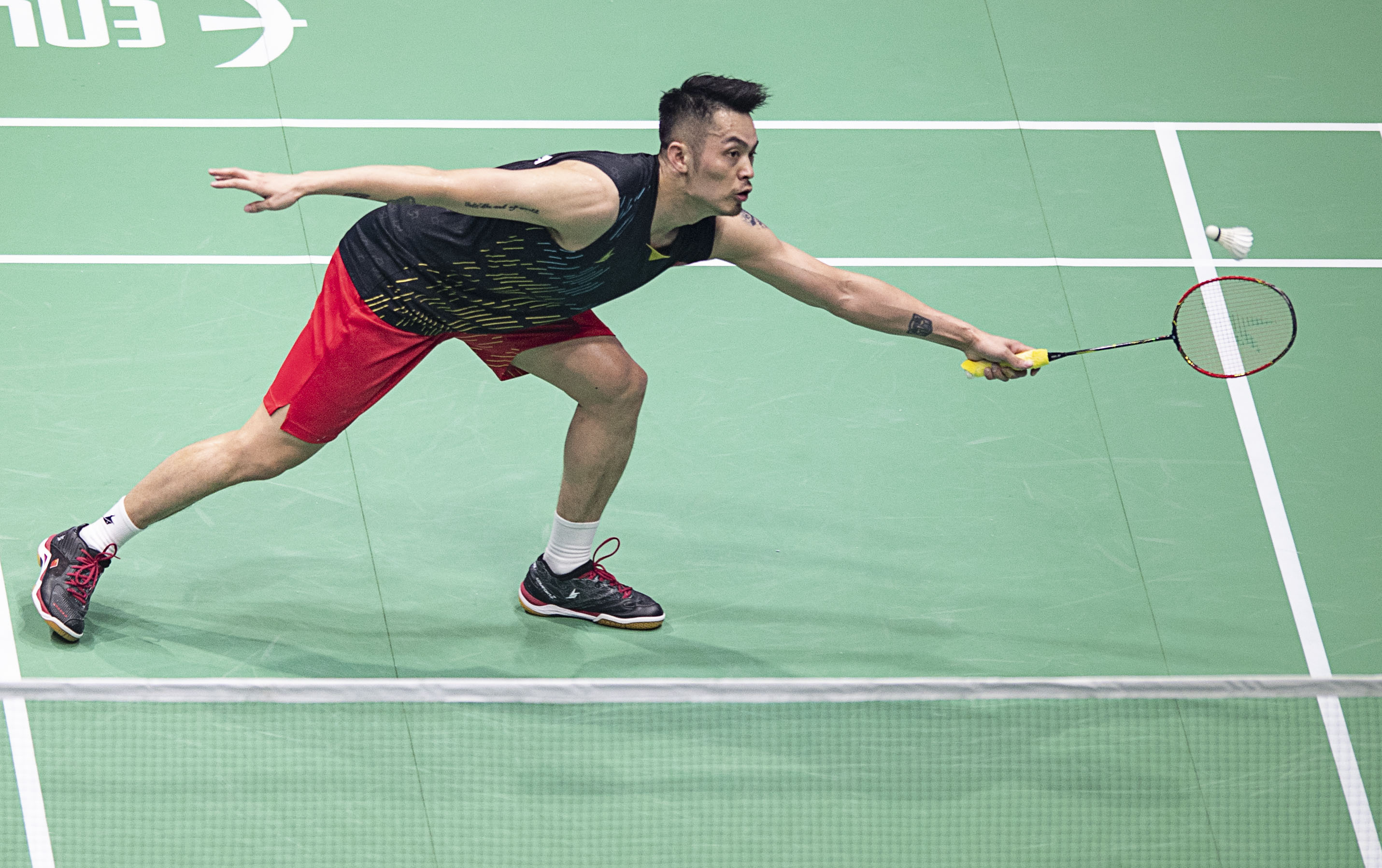 更是对羽毛 更是对羽毛