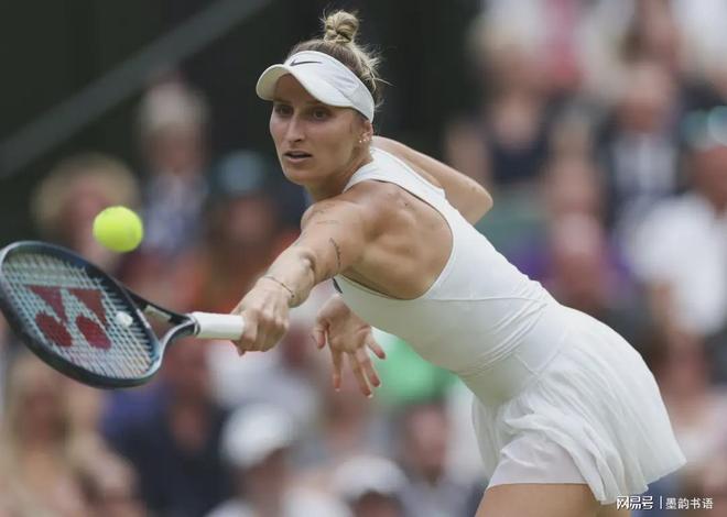 他们提供的 他们提供的