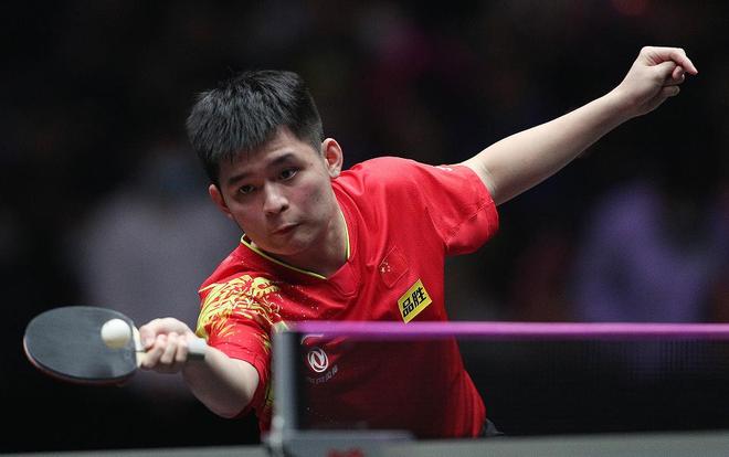 杨不仅有着 杨不仅有着