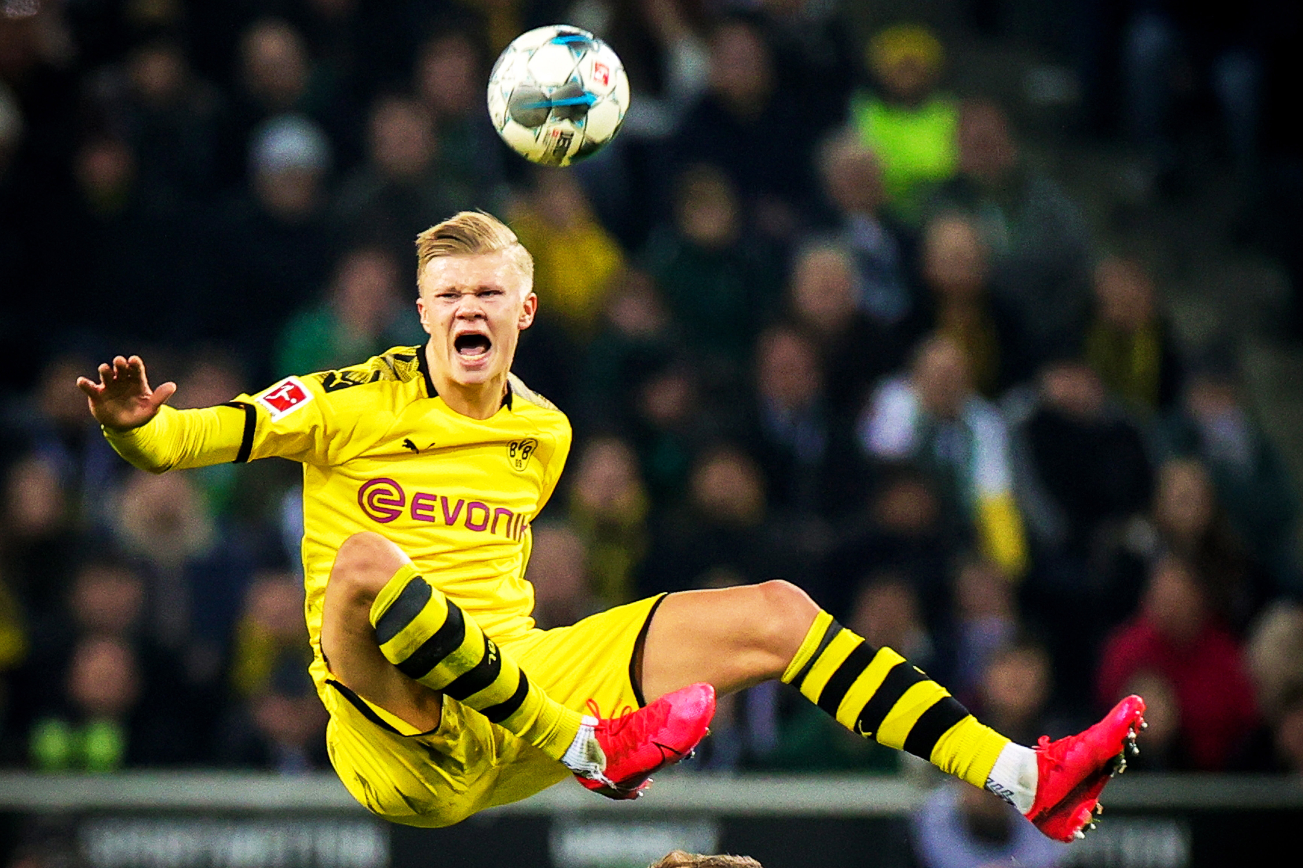 无论角色如 无论角色如